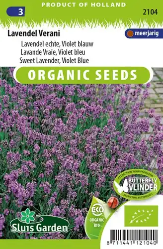 Sweet Lavender - Violet Blue - Verani EKO - 100 Seeds