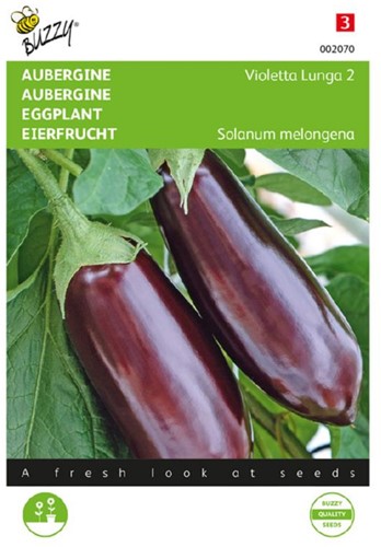 Eggplant Violetta Lunga 2 - Solanum melongena0