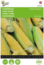 Sweet corn Golden Bantam - Buzzy