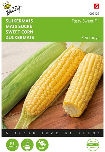 Sweet corn Tasty Sweet F1 - Buzzy
