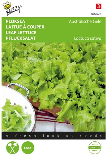 Leaf Lettuce Australian Yellow - Buzzy