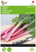 Swiss Chard Peppermint - Buzzy