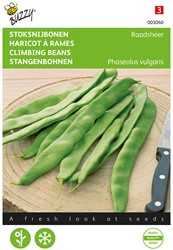 Climbing Beans Raadsheer - Buzzy