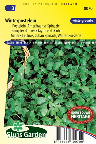 Purslane Winter, Miner's Lettuce Cuban Spinach