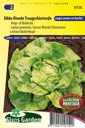 Lettuce ButterheadFat Blonde Slow Shooter