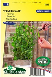 Sweet pot pea 'N' Pod Bernard F1 – Pisum sativum