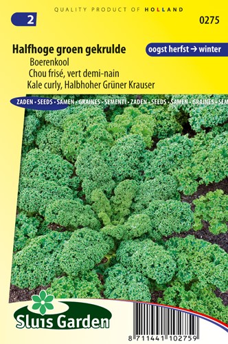 Curly Kale half green curled