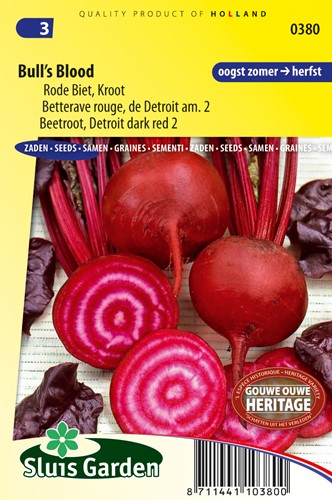 Beetroot, Red Gardenbeet Bull´s Blood