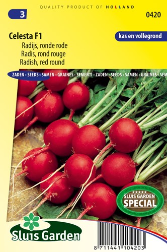 Radish Celesta F1