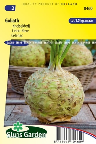 Celeriac Goliath