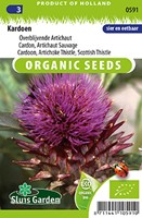 Cardoon EKO - Cynara Cardunculus