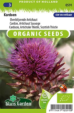 Cardoon EKO - Cynara Cardunculus