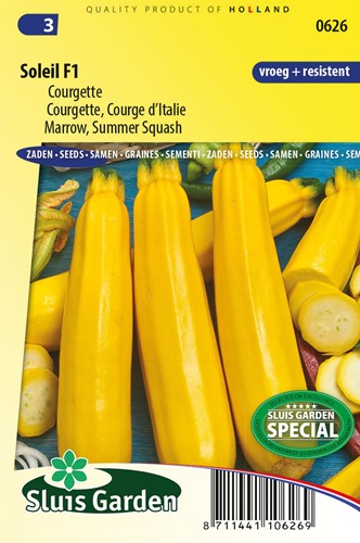 Zucchini Summer Squash Soleil F1 - Cucurbita pepo