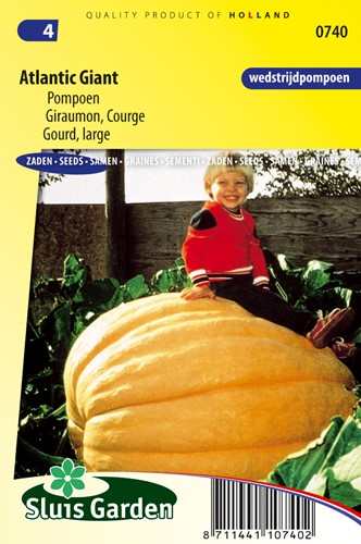 Gourd (large) Atlantic Giant - Cucurbita maxima