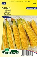 Sweet Corn Earlibird F1 - Zea Mays