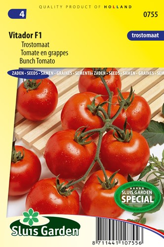 Tomato Trusses Vitador F1