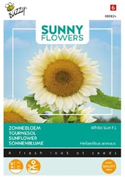 Sunflower White Sun F1 - Sunny Flowers