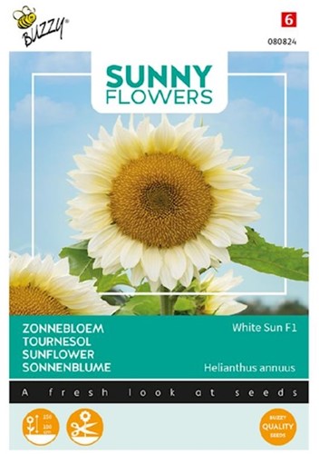 Sunflower White Sun F1 - Sunny Flowers