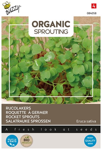 Rocket Sprouts - Buzzy Organic Sprouting