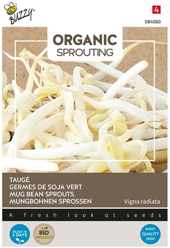 Mug Bean Sprouts - Buzzy Organic Sprouting