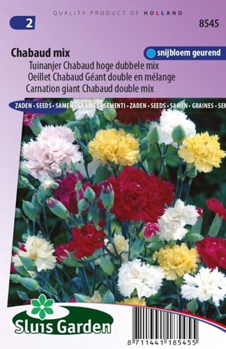 Carnation Chabaud Mix  ? Dianthus Chabaud