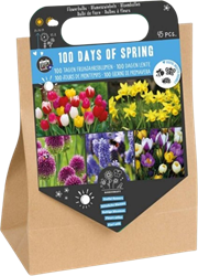 100 Days of Spring – 45 flower bulbs