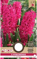 Hyacint Jan Bos - Hyacinthus-2