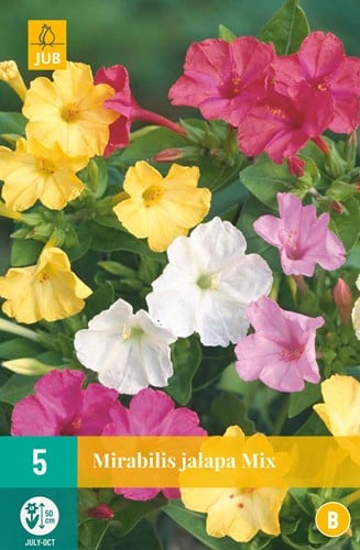 Mirabilis Jalapa Mix – Marvel of Peru