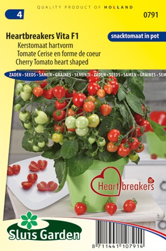 CherryTomato heart shaped Heartbreakers Vita F1