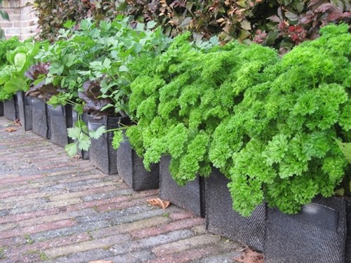 Planting Bag Balcony/Wall 100% Recycled