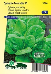 Spinach Columbia F1  (spring/summer crop)