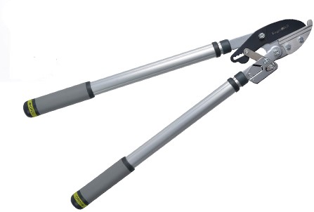 Telescopic Compound Action Lopper - Burgon and Ball