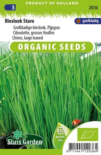 Chives Large leaved EKO
