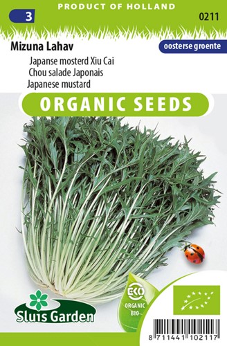 Japanese Mustard Mizuna Lahav EKO