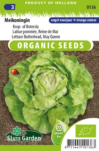 Lettuce Butterhead May Queen EKO