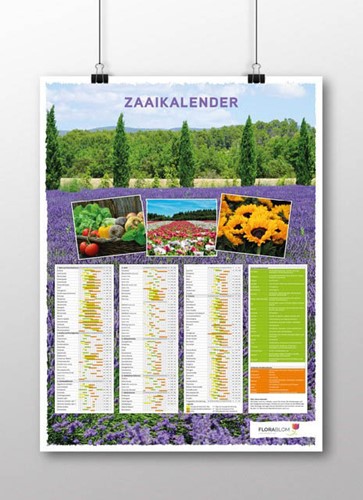 Seed Calendar Poster Dutch-folded