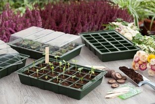 Complete propagation kit - Nature