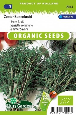 Organic Summer Savory - Satureja hortensis