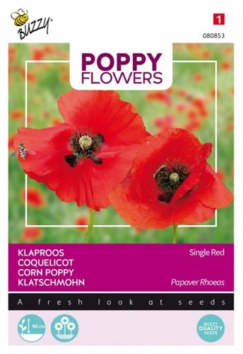 Corn Poppy Single Red - Buzzy Poppy Flowers