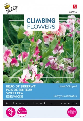 Sweet pea Unwin's Striped - Climbing Flowers