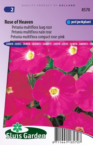 Petunia Multiflora Rose of Heaven