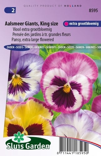 Pansy Aalsmeer Giants, King Size  ? Viola Wittrockiana