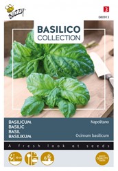 Basil Napolitano - Basilico Collection