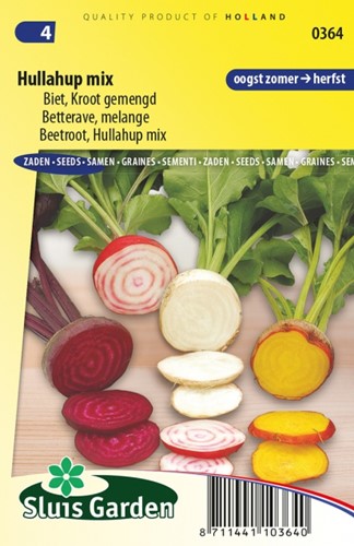 Biet, Kroot Gemengd Hullahup Mix - Beta vulgaris