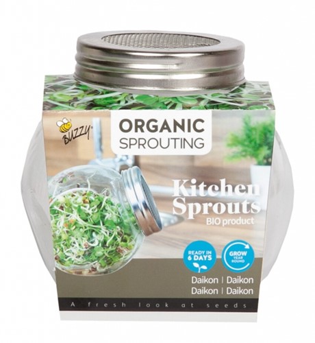 Organic Sprouting Daikon glass pot BIO - Buzzy 