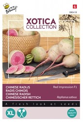 Chinese radish Red impression F1 - Xotica Collection