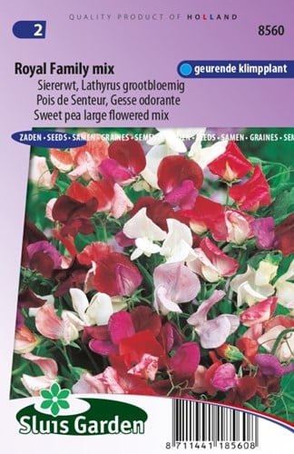 Sweet Pea Royal Family Mix Lathyrus Odoratus