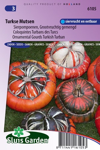 Ornamental Gourd Large Fruited Turkish Turban