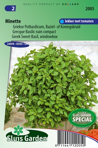 Basil, Sweet Greek (windowbox) Minette - Ocimum Basilicum