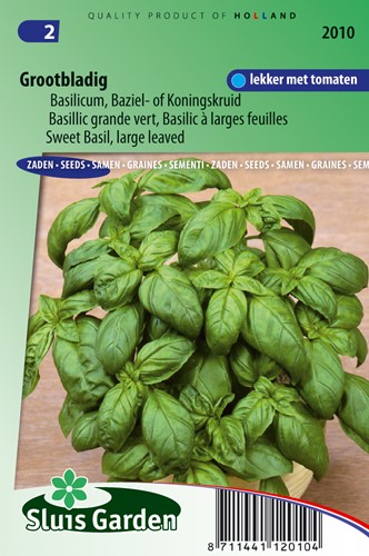 Basil, Sweet Large leaved